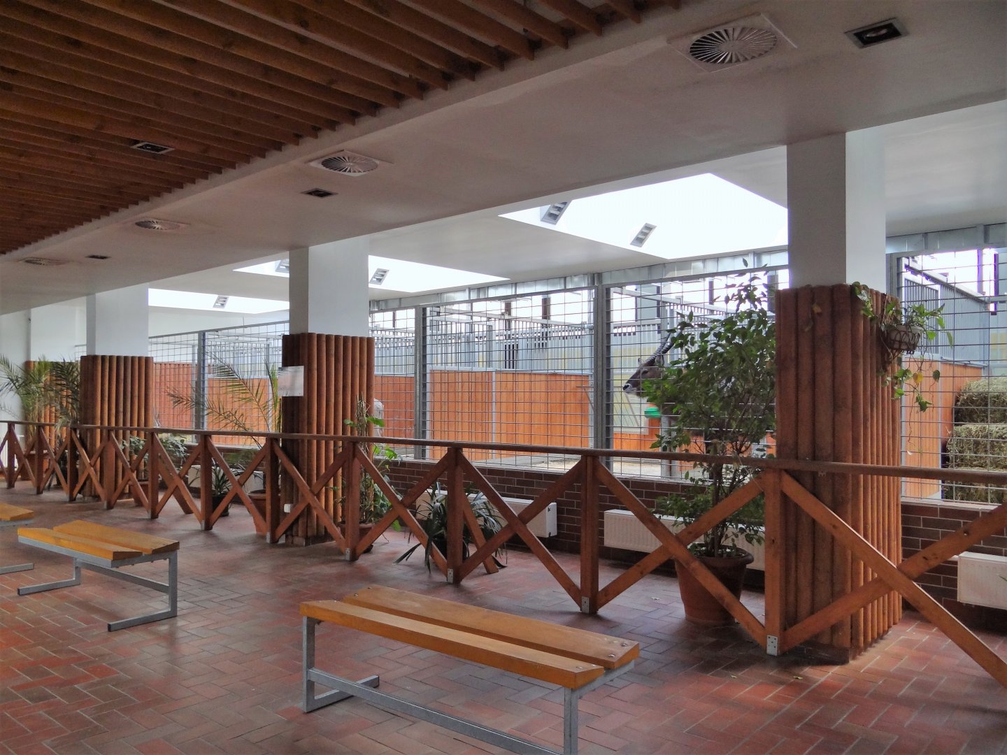 Inside Antelope House