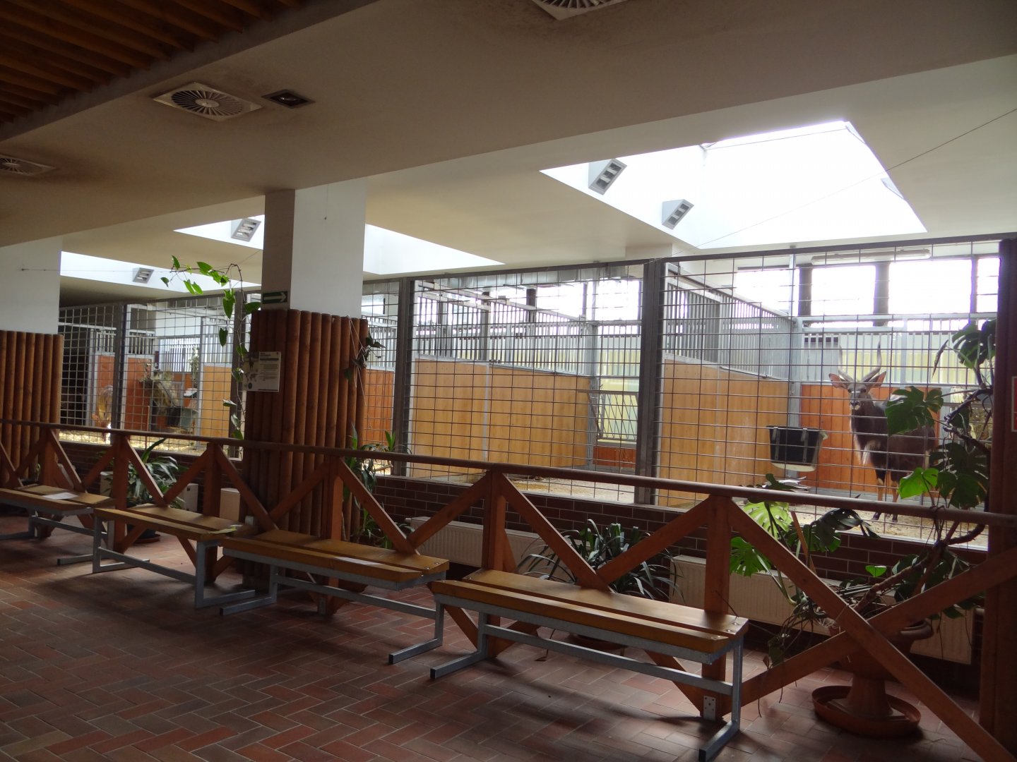 Inside Antelope House