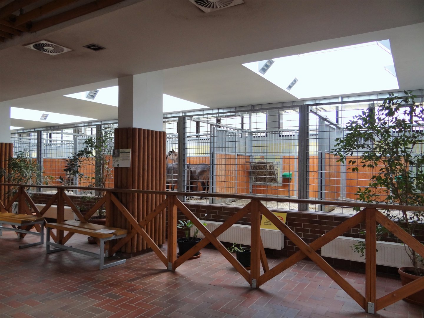 Inside Antelope House