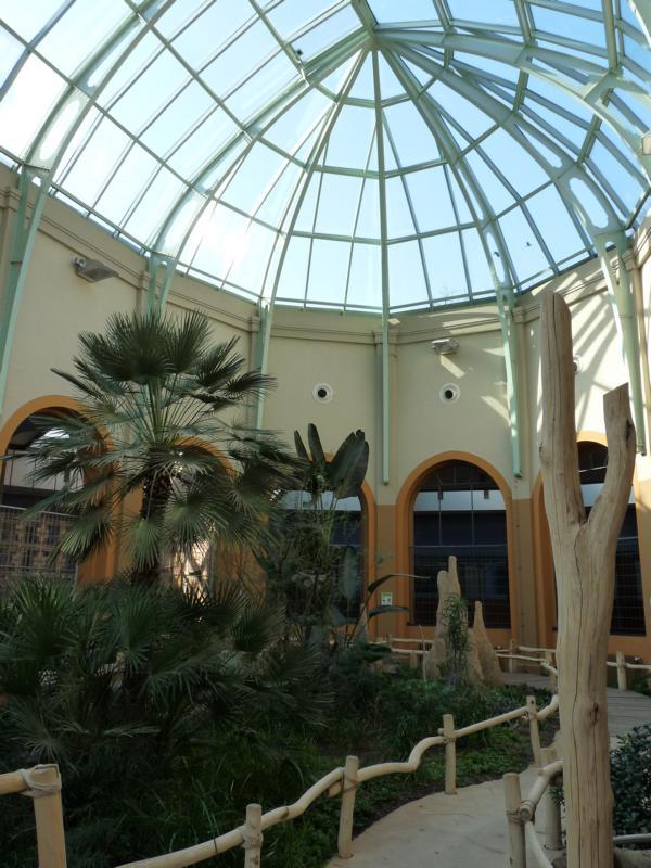 Inside Antelope House