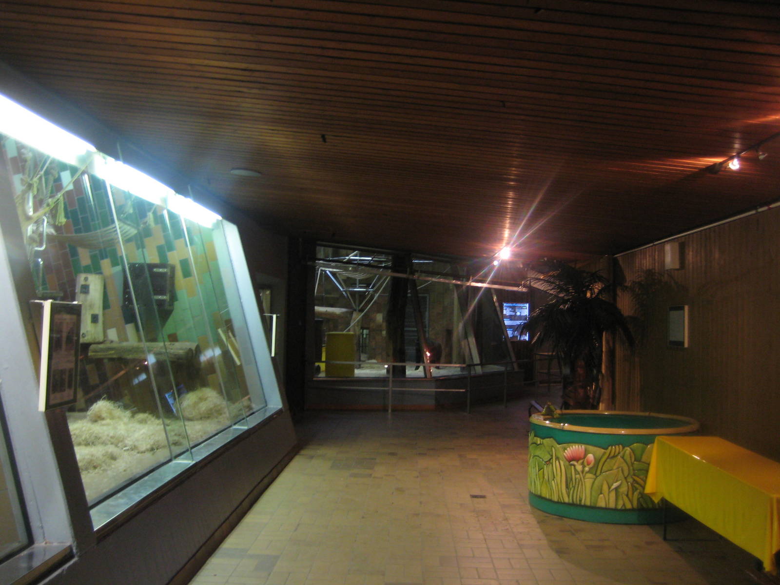 Inside Apehouse