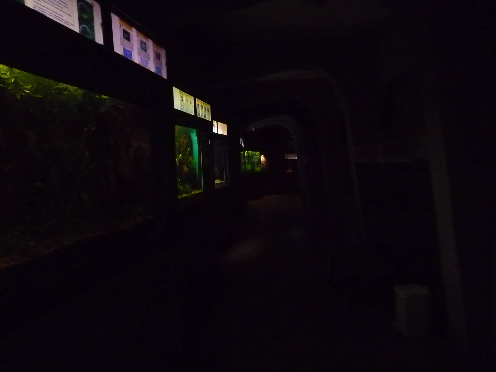 Inside Aquarium