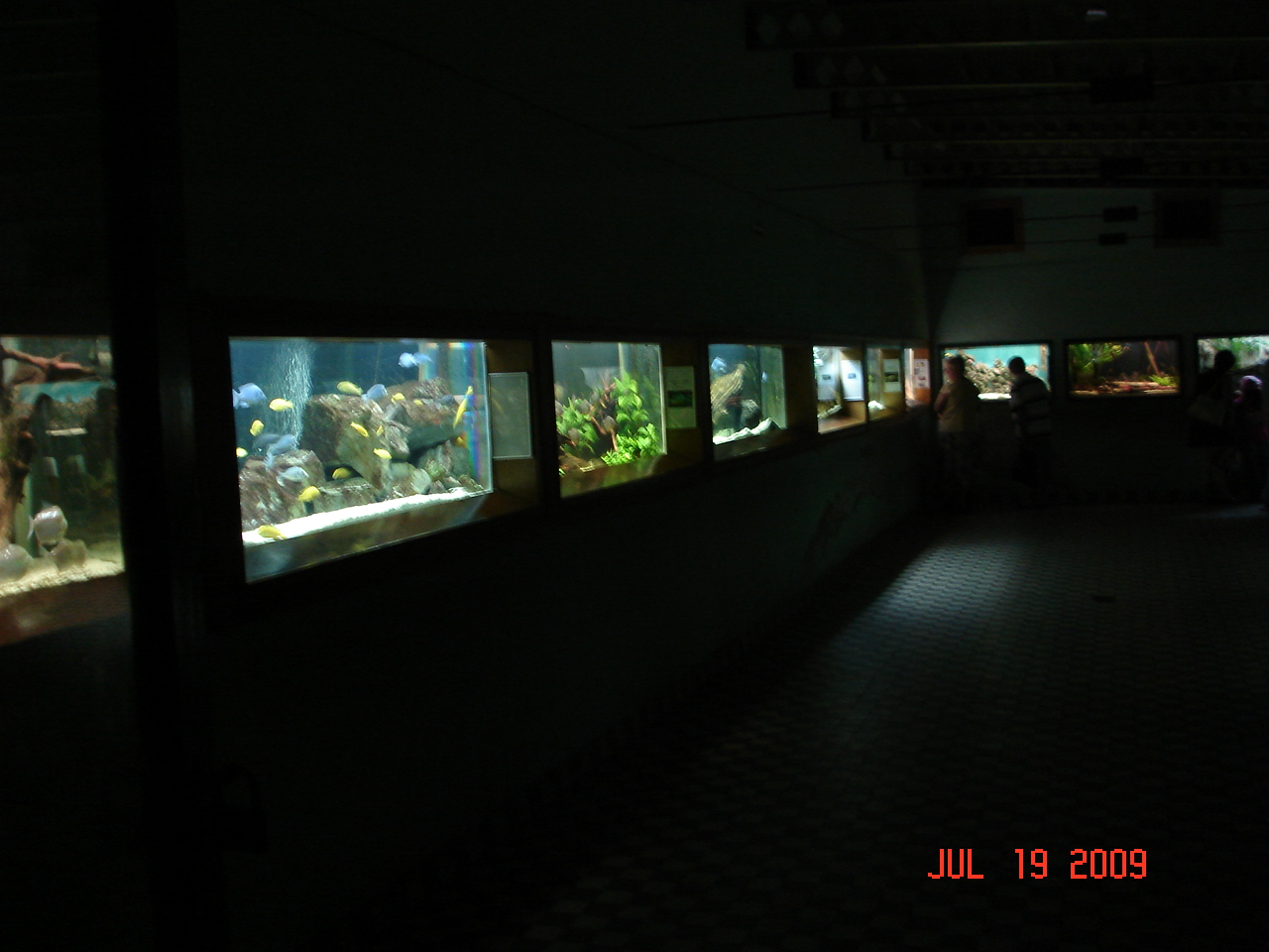 Inside Aquarium
