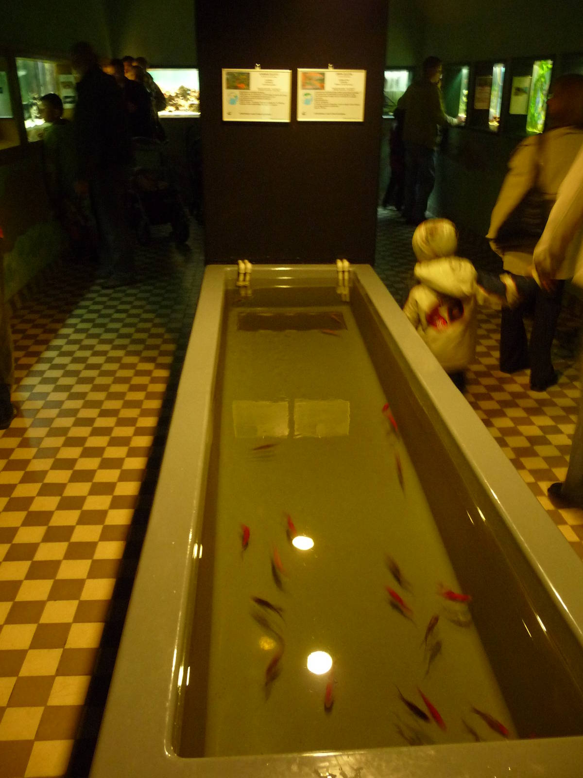 Inside aquarium