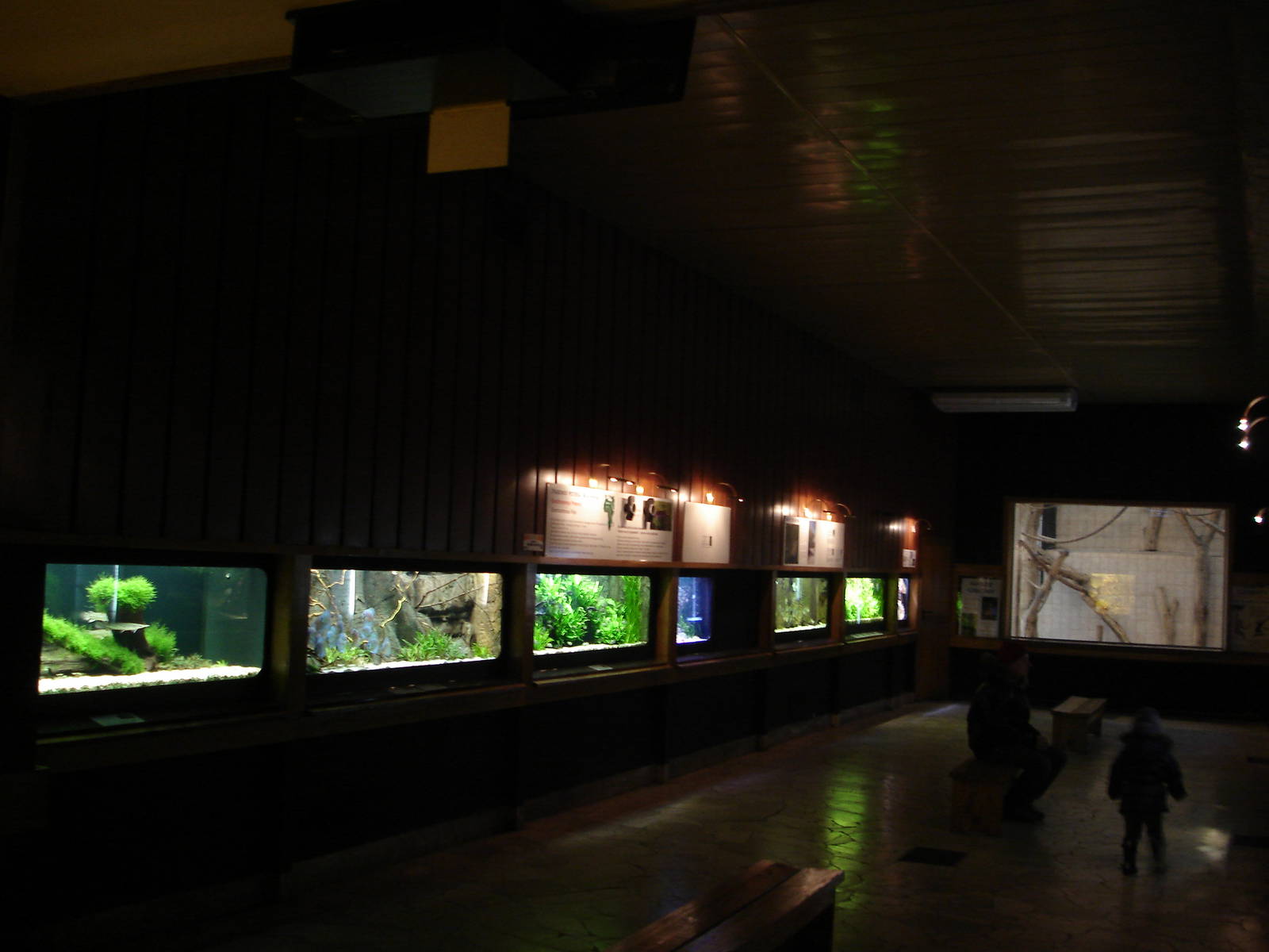 Inside aquarium