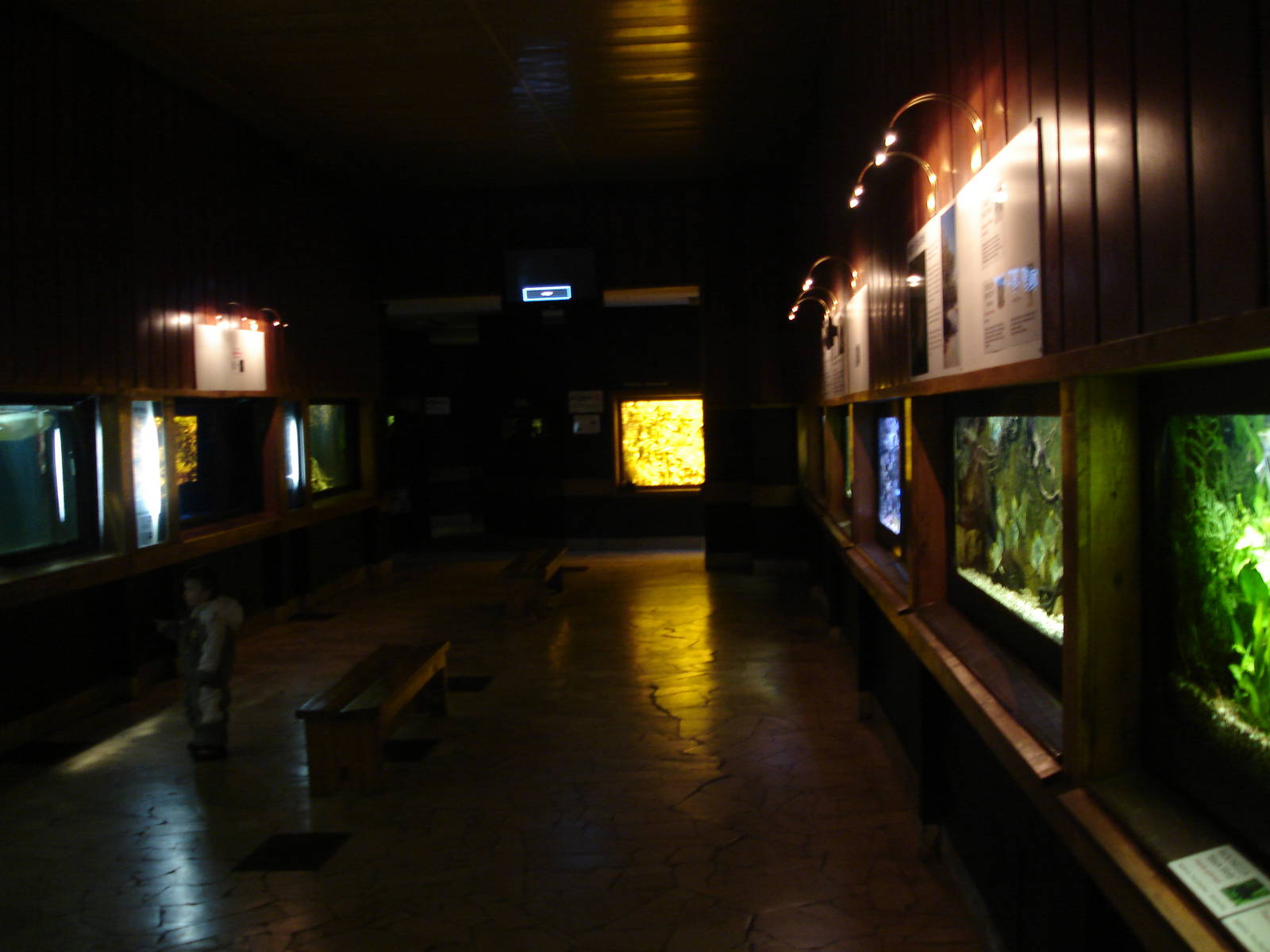 Inside aquarium