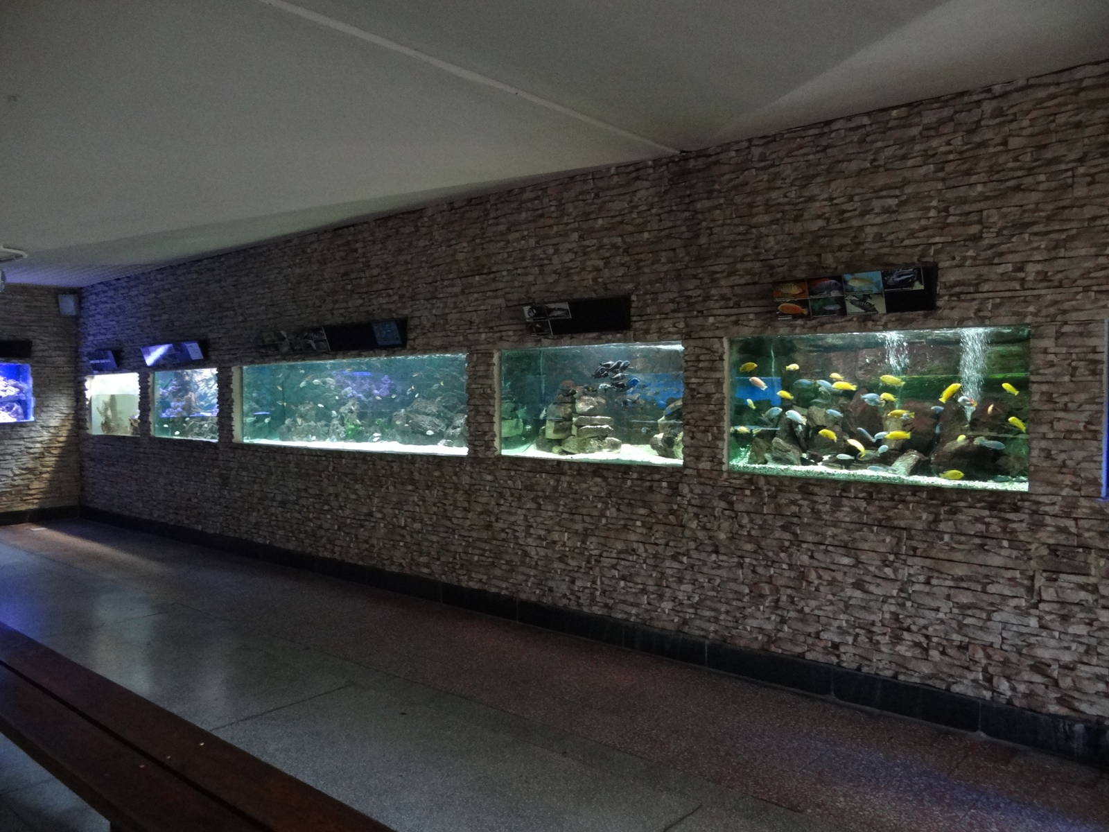 Inside aquarium