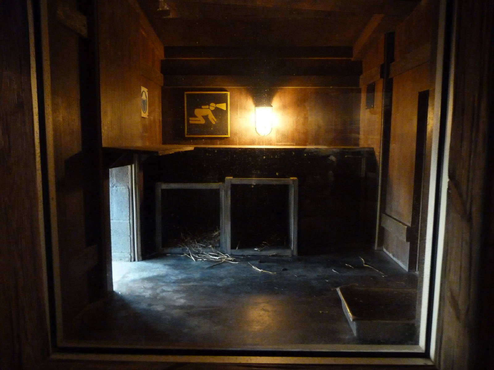 Inside Arctic Fox Den