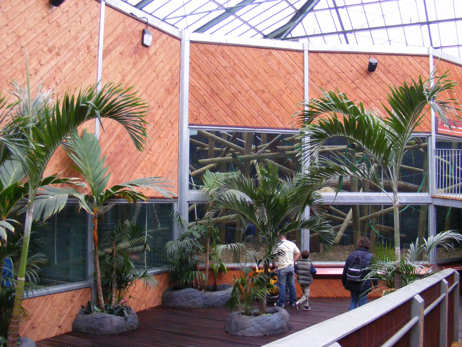 Inside area of Orangutan Forest