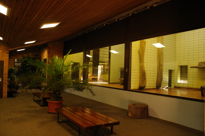 Inside Big cat house at Dortmund