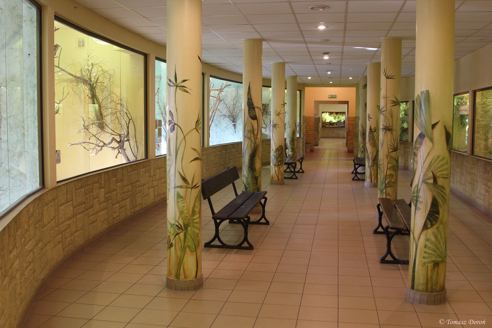 Inside Birds and Reptiles Pavilion