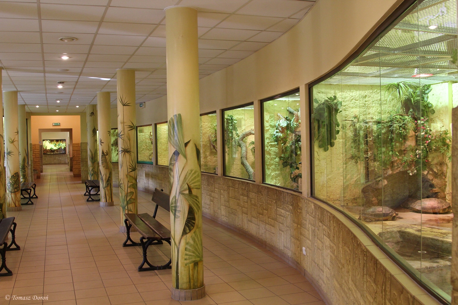 Inside Birds and Reptiles Pavilion