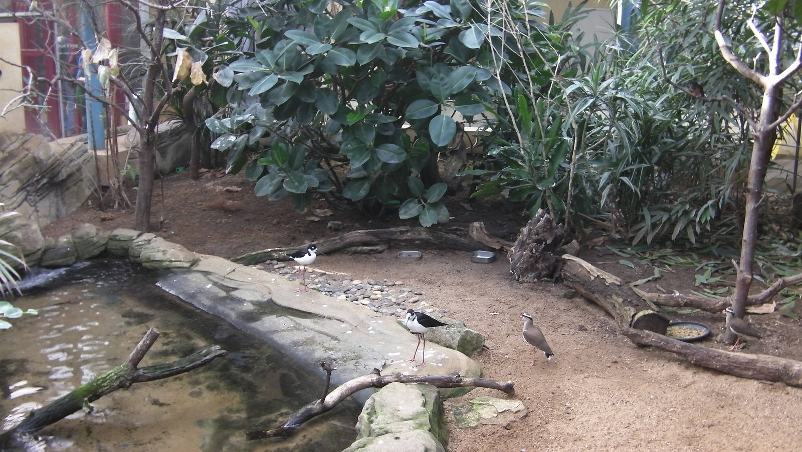 Inside Blackburn Pavillion - 24.03.2012