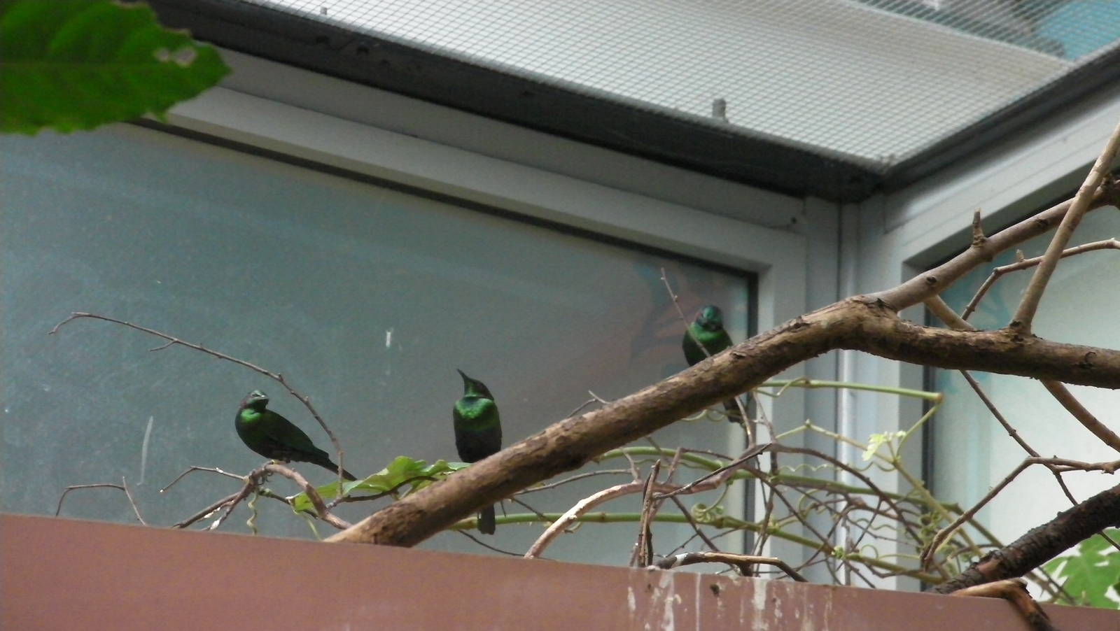 Inside Blackburn Pavillion - 24.03.2012