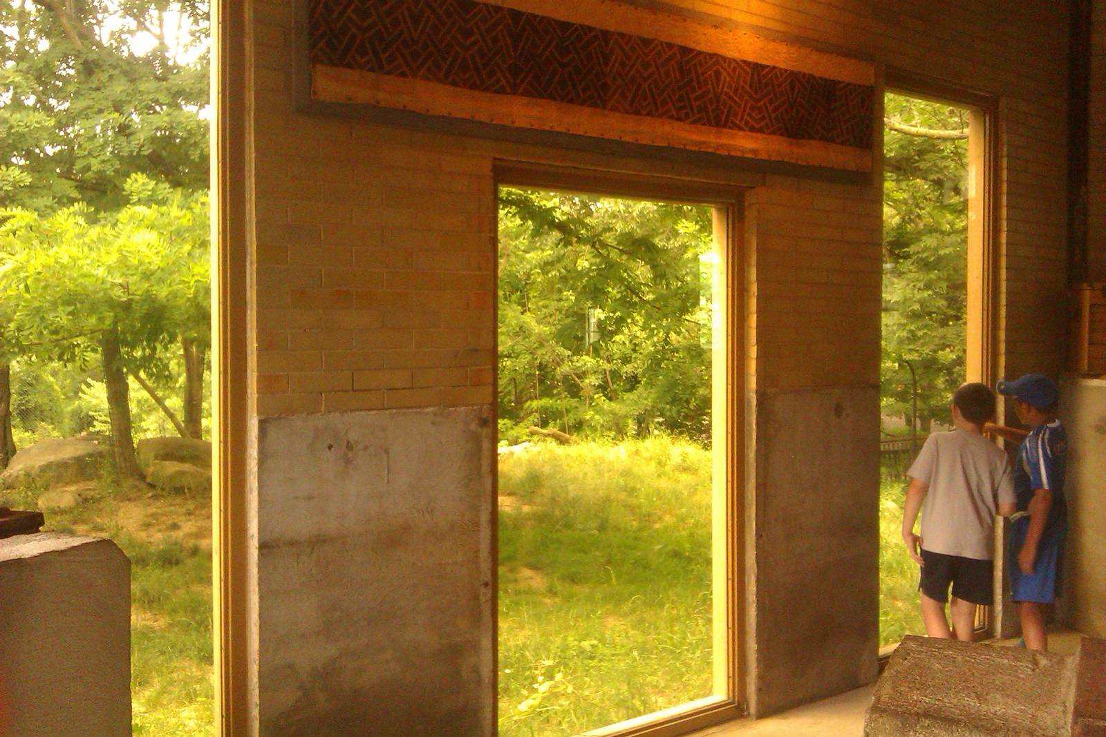 inside building looking out towards african wild dog exhibit