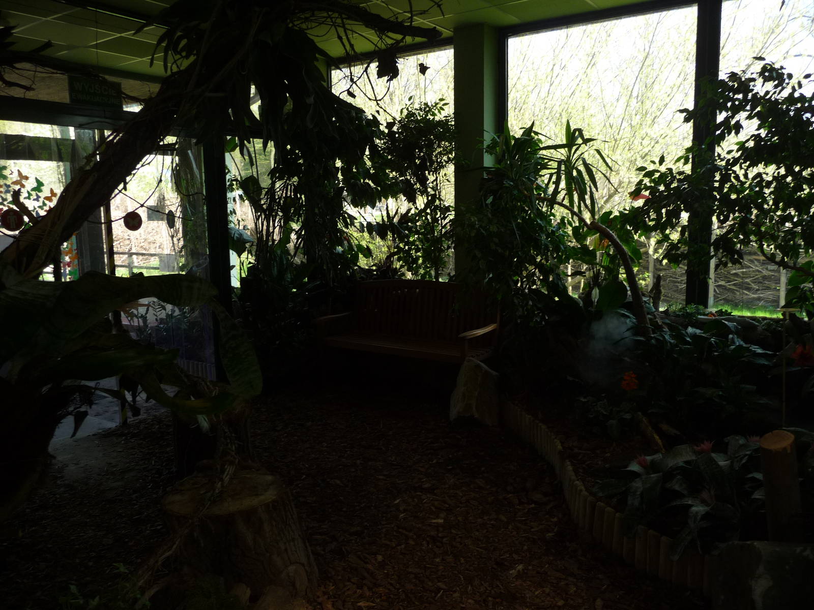Inside Butterfly House