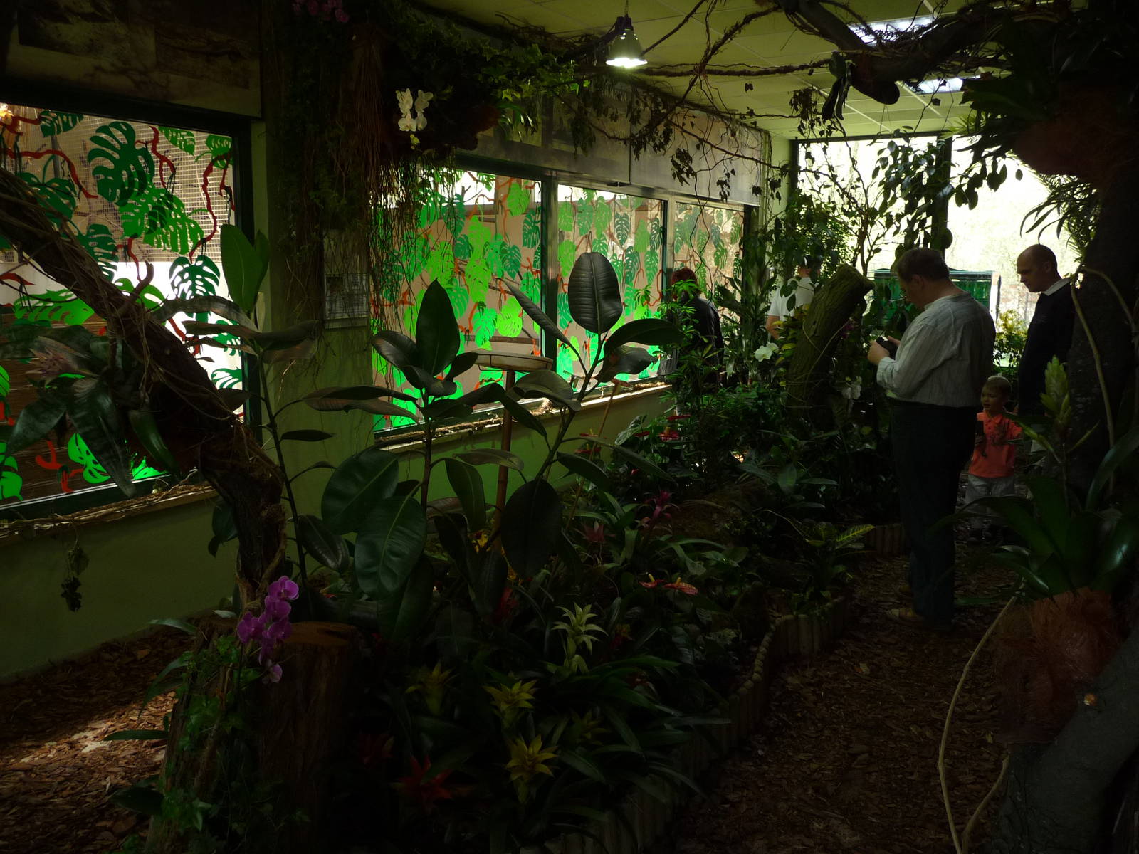 Inside Butterfly House