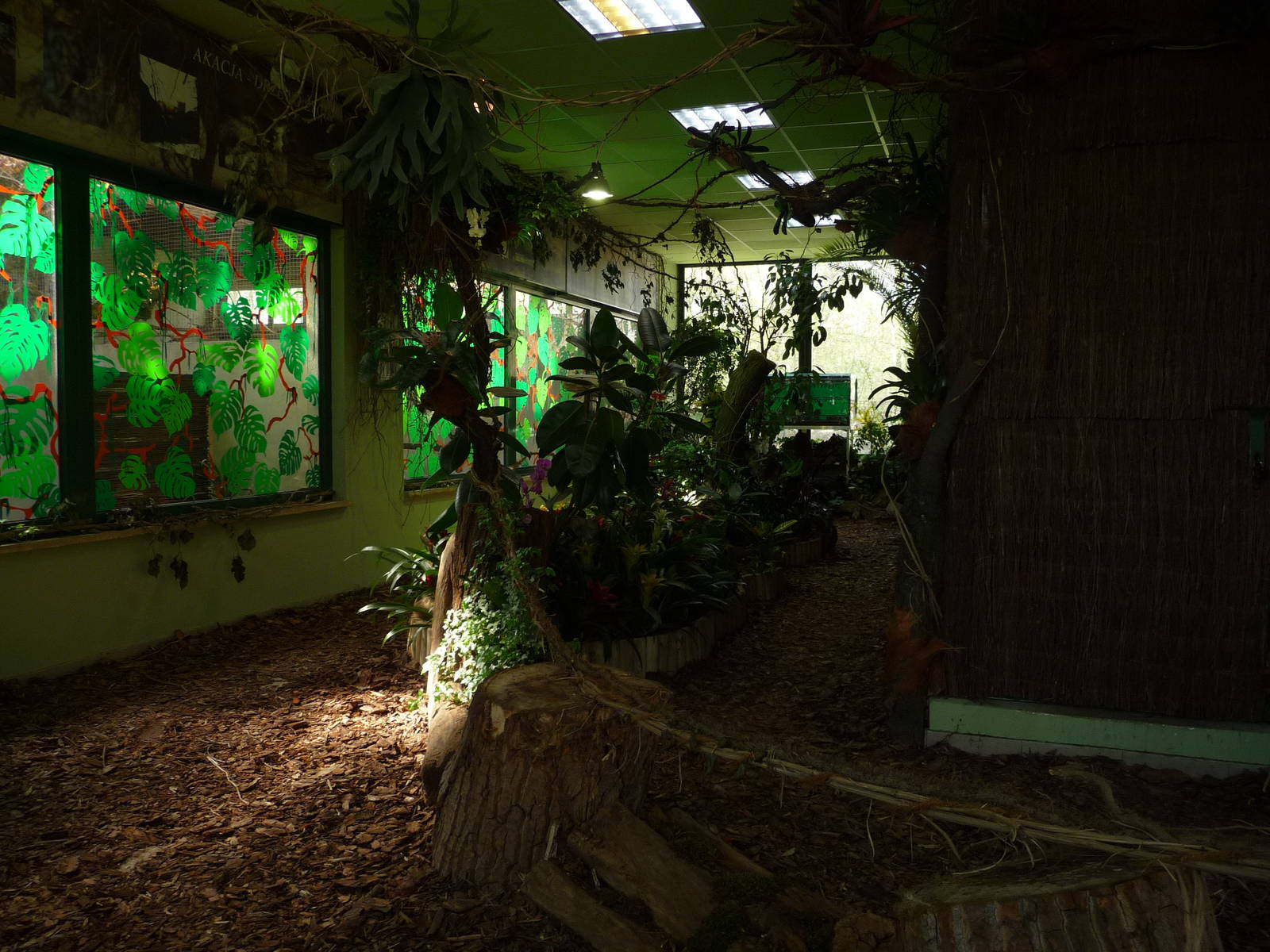 Inside Butterfly House