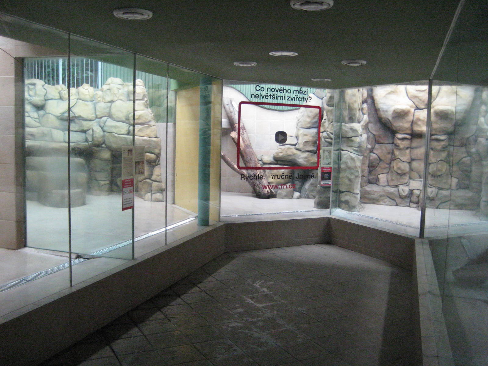 Inside Carnivore House