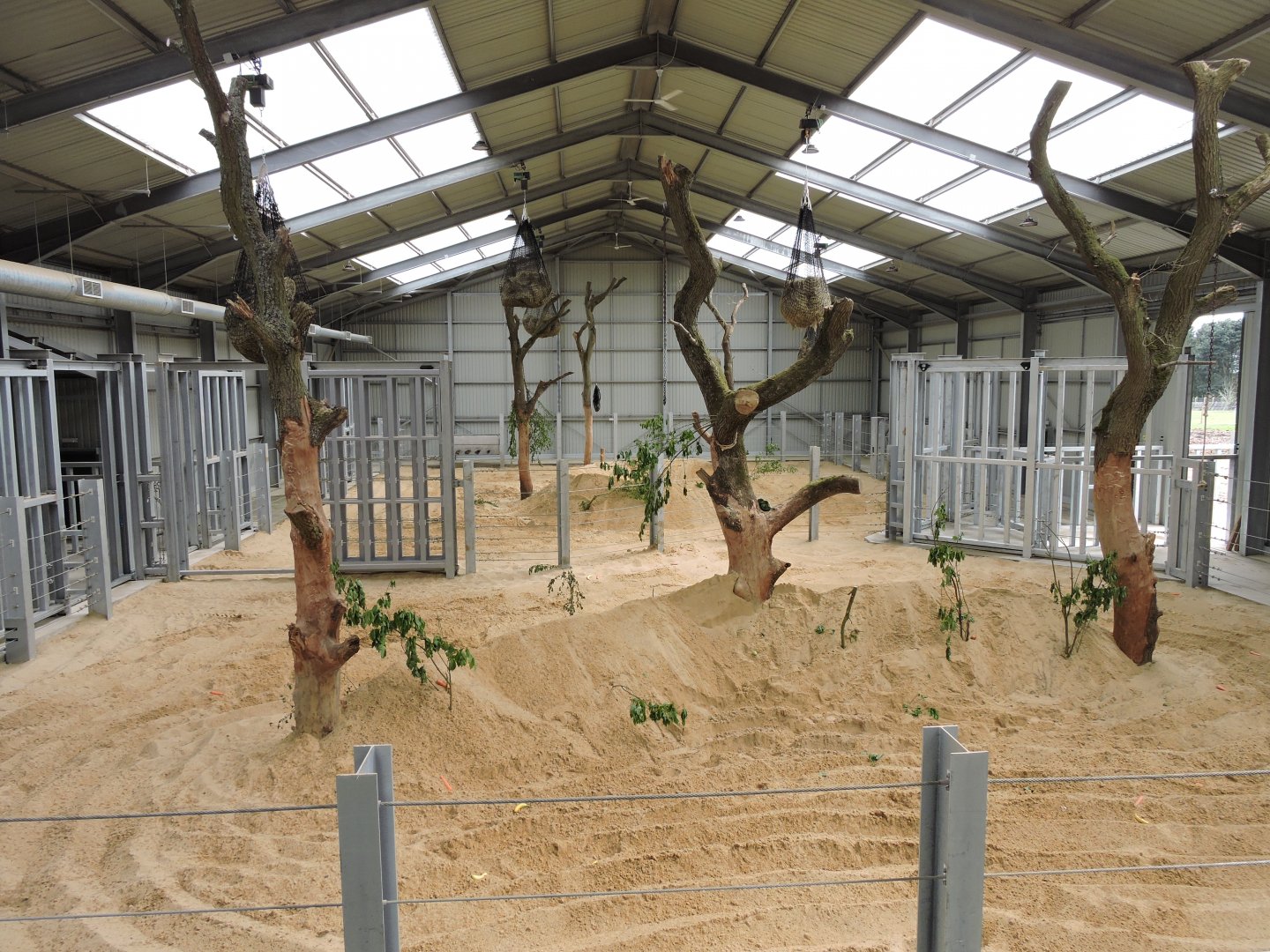 Inside Center For Elephant Care