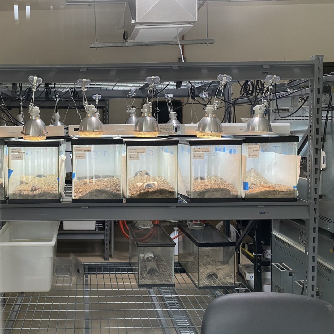 Inside Conservation Action Center