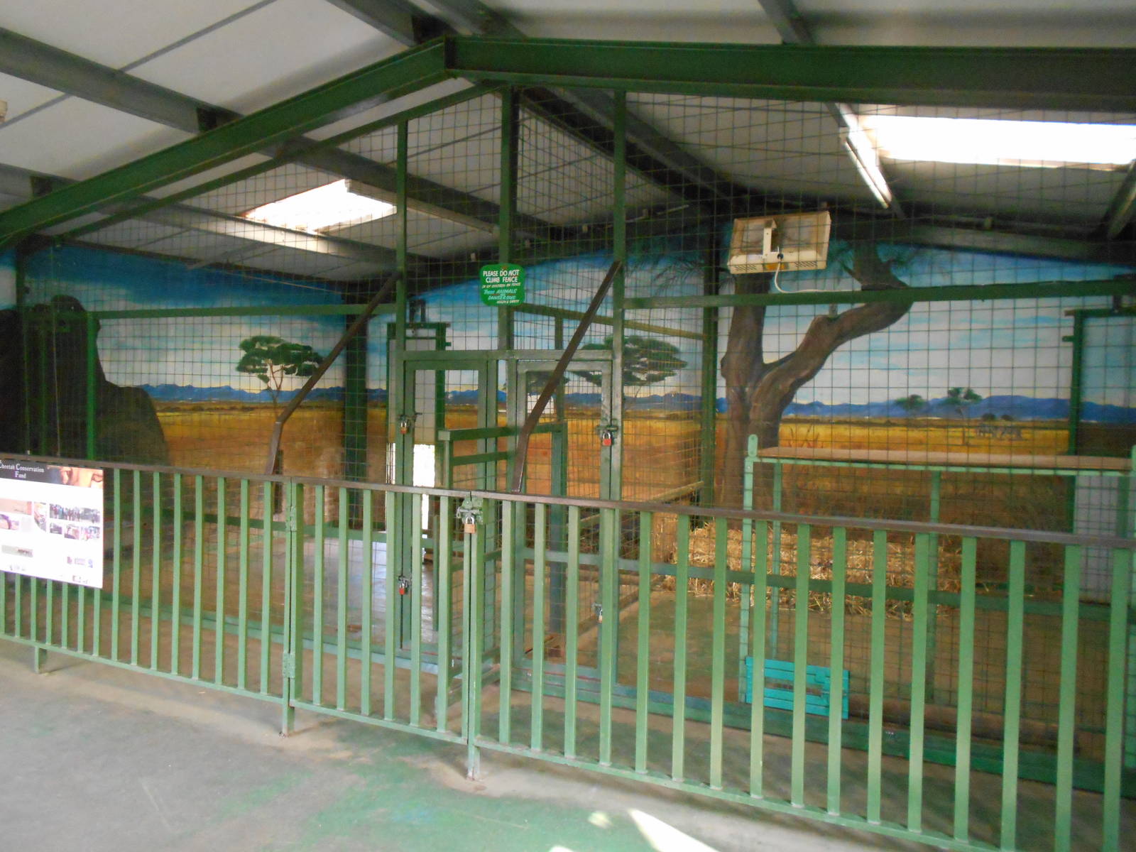 Inside dens for Cheetah - March 11th 2016