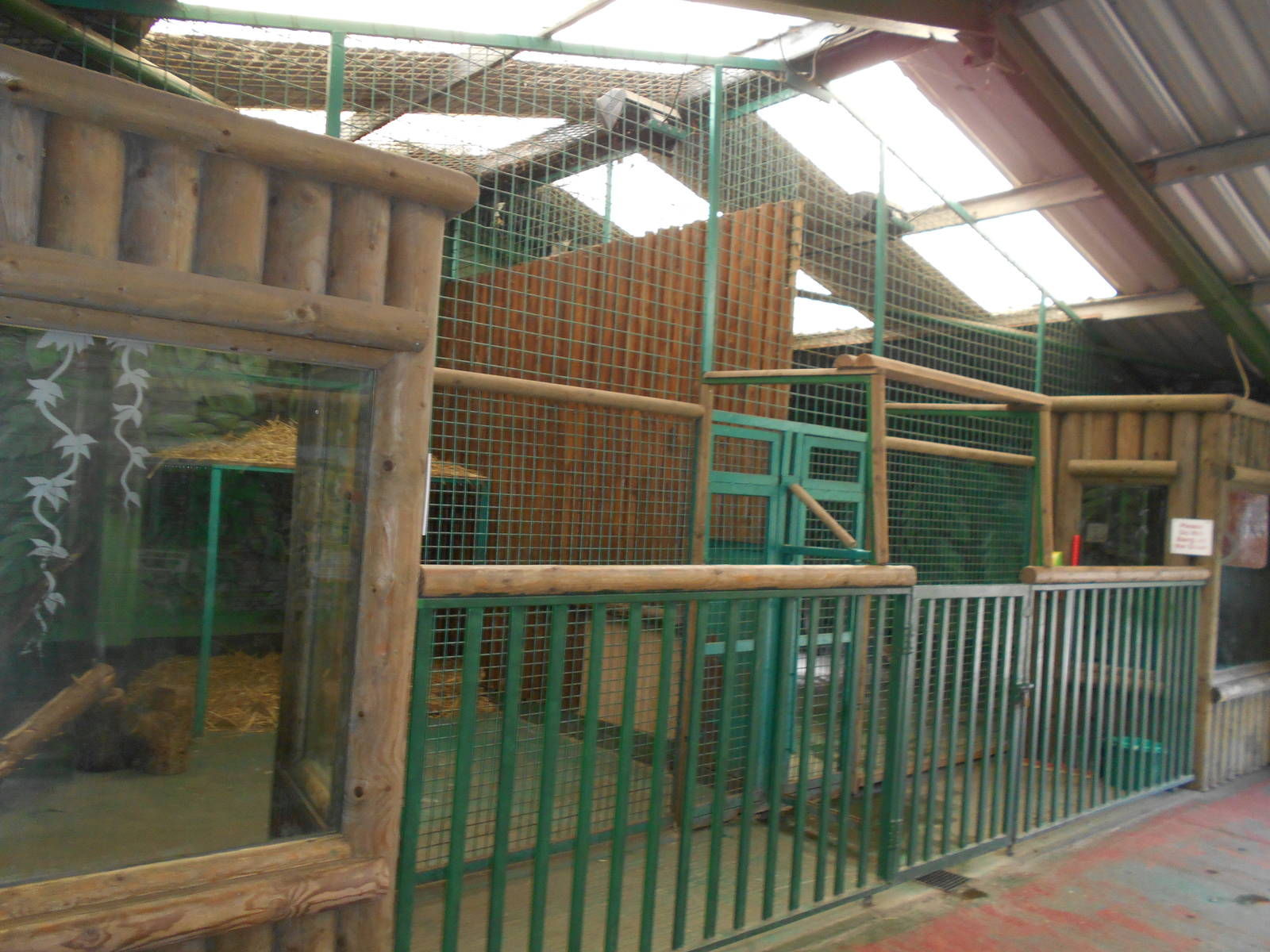 Inside dens for Jaguars - March 11th 2016