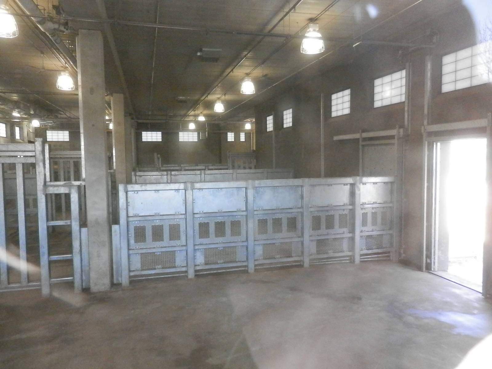 Inside elephant barn