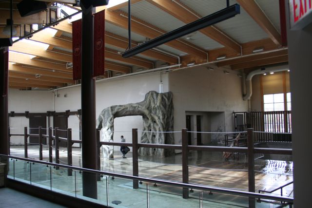 Inside Elephant Crossing