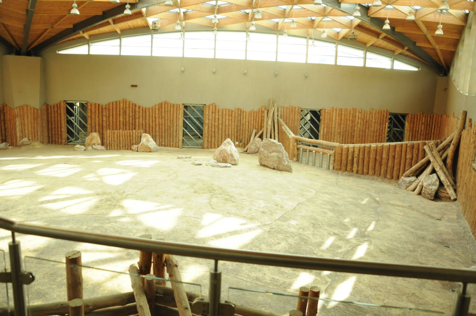 Inside elephant enclosure