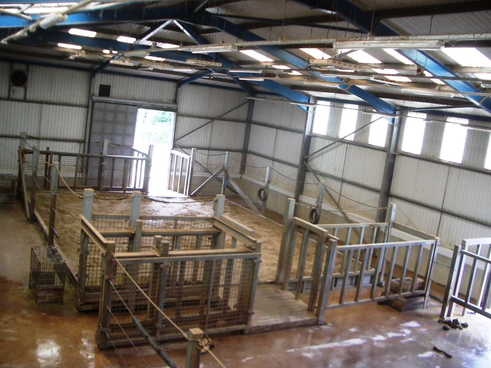 Inside Elephant House - 27.07.2010