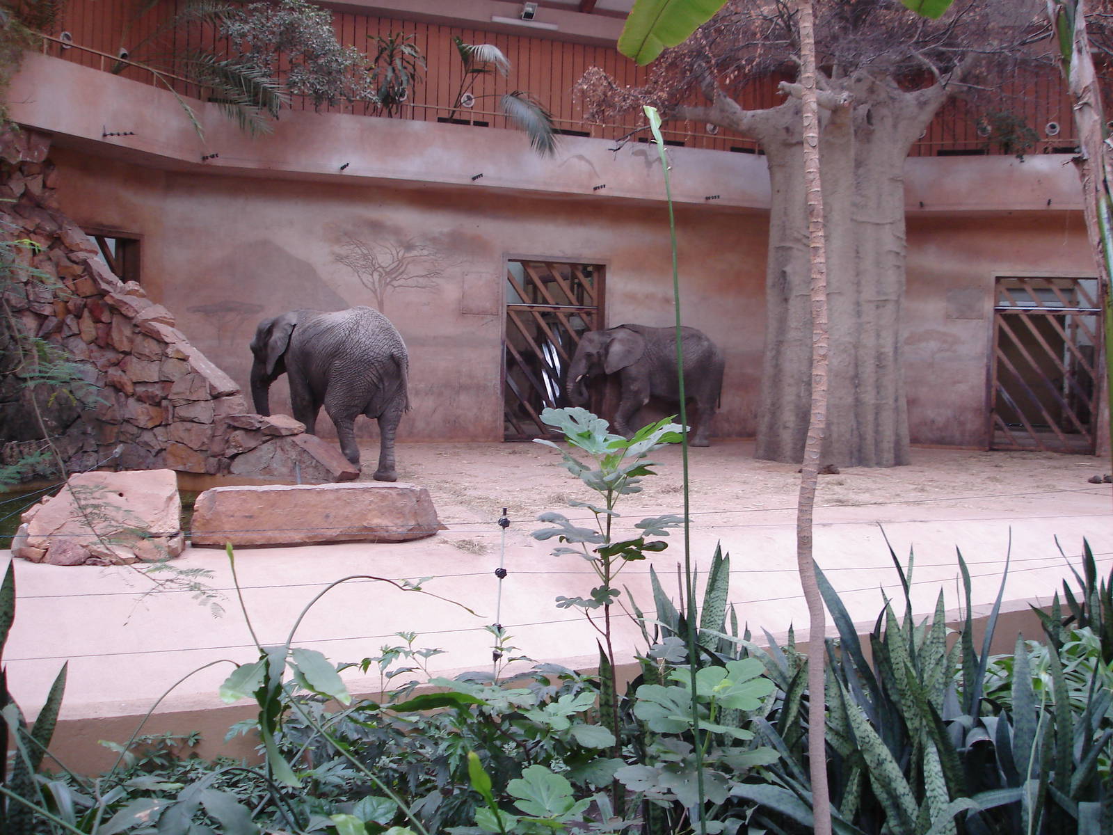 Inside Elephant house