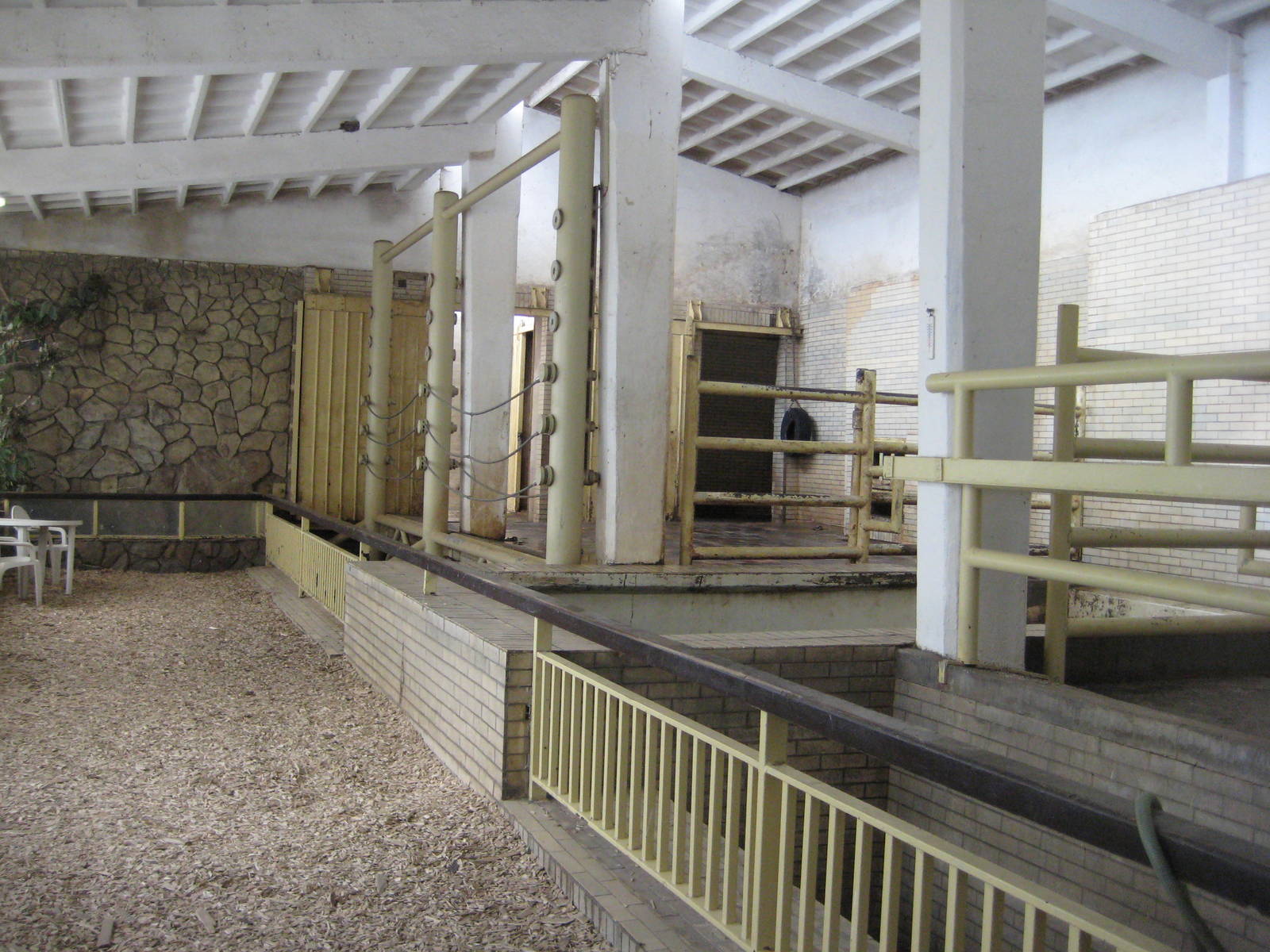 Inside Elephant house