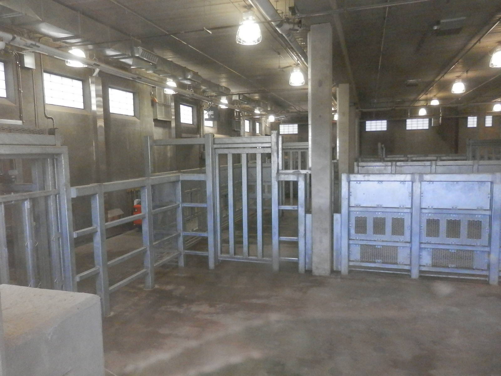 Inside elephant yard