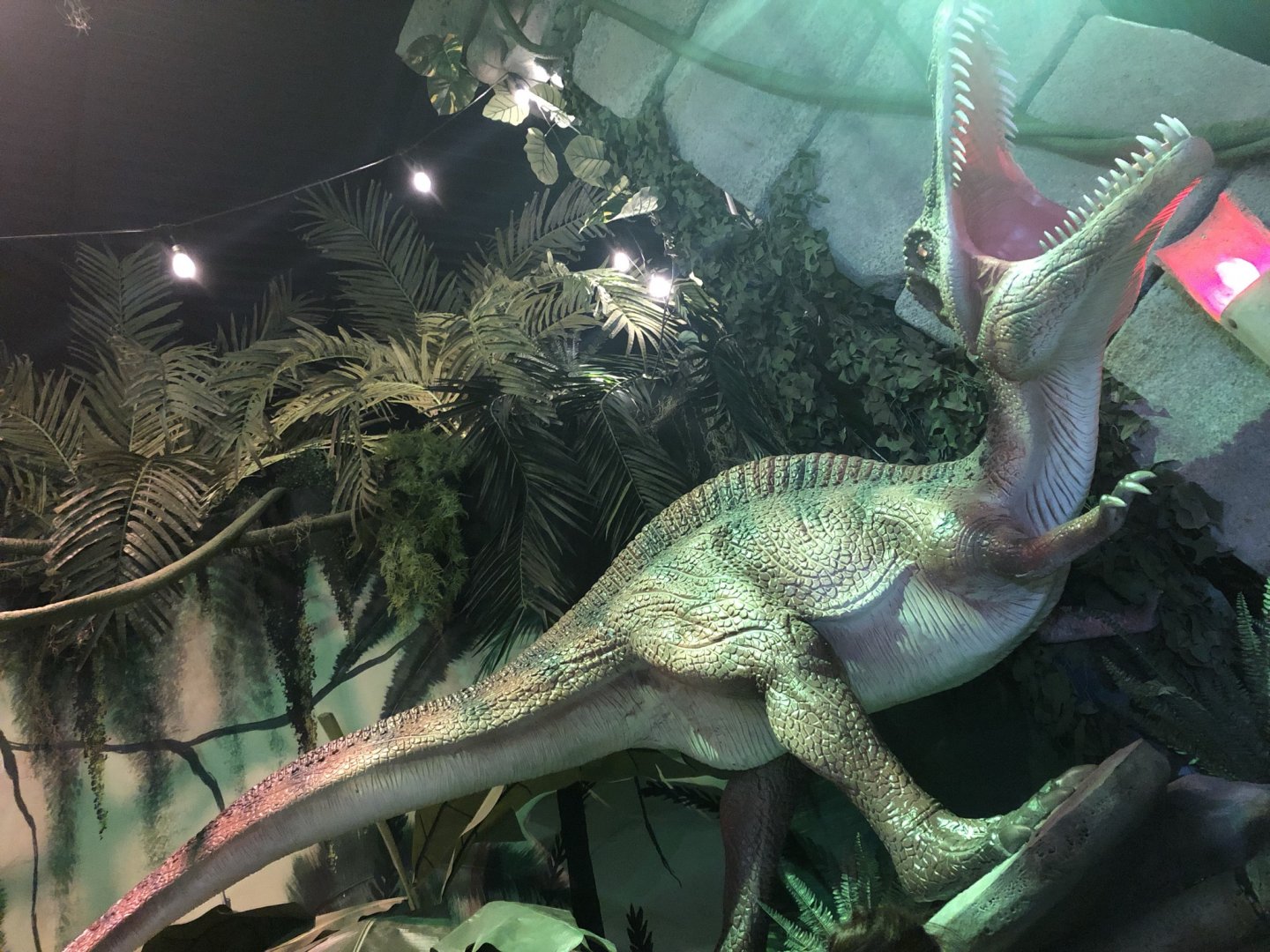 Inside Evolution Restaurant at Yorkshire Wildlife Park (October 2021)