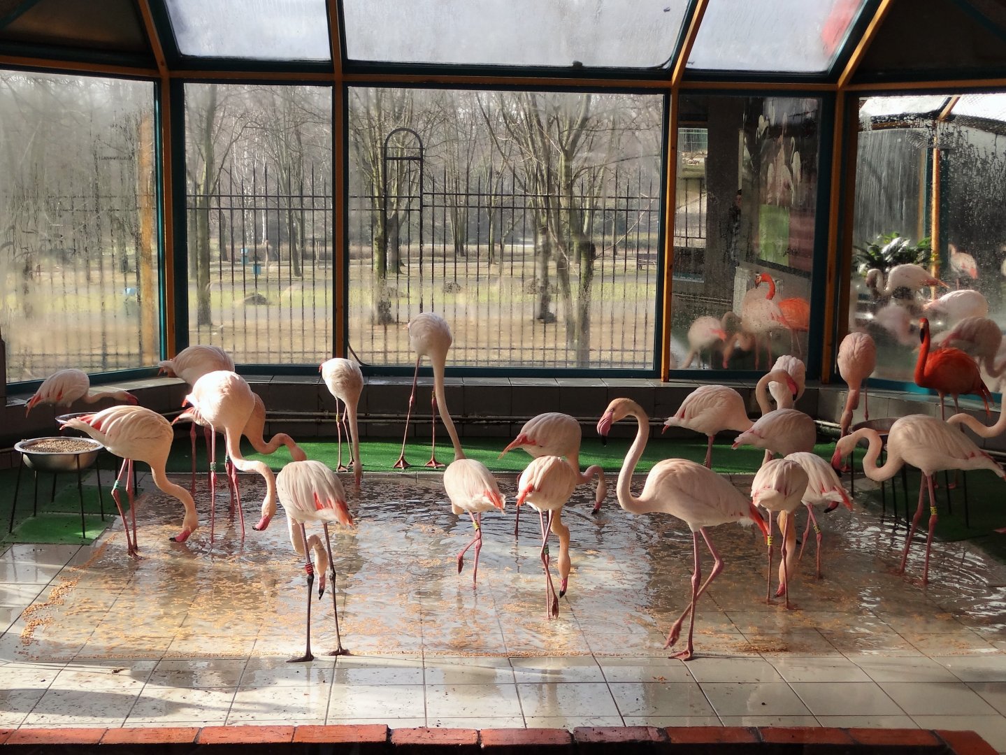 Inside flamingo house