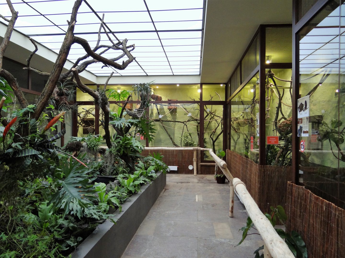 Inside former Bird House