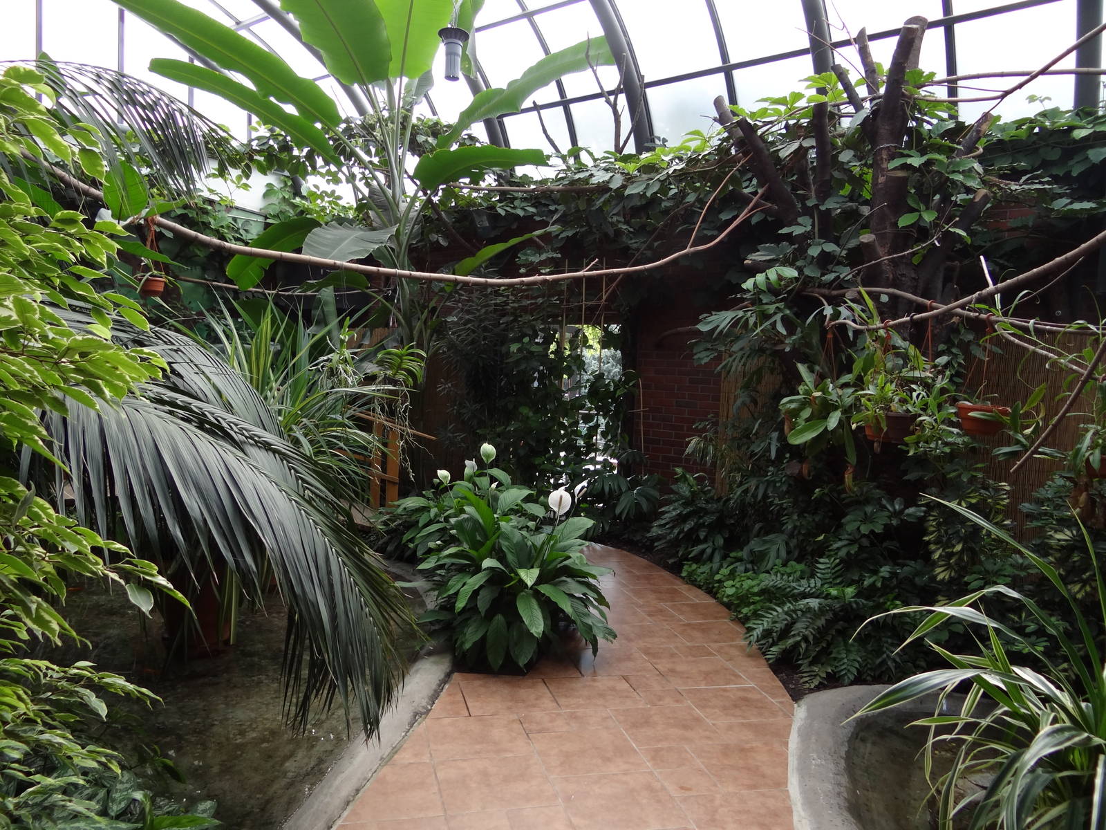 Inside free-flight aviary