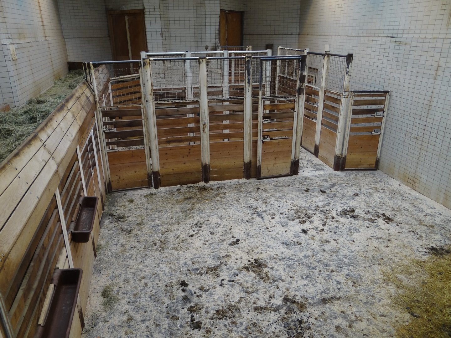 Inside Giraffe House