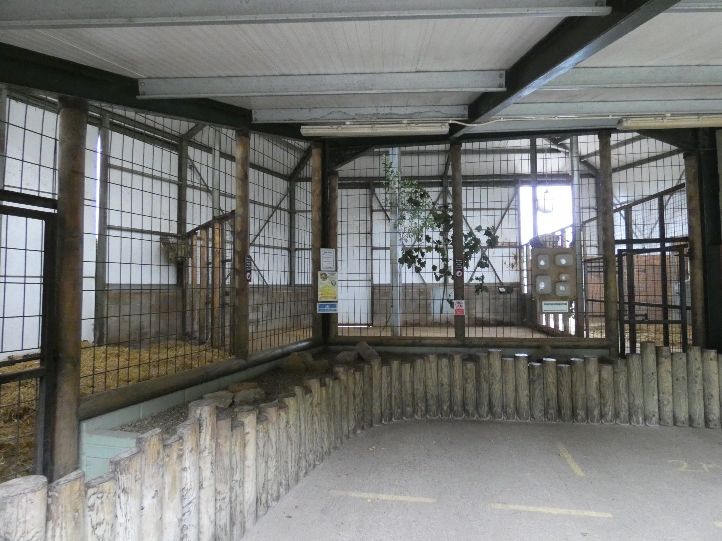 Inside giraffe house