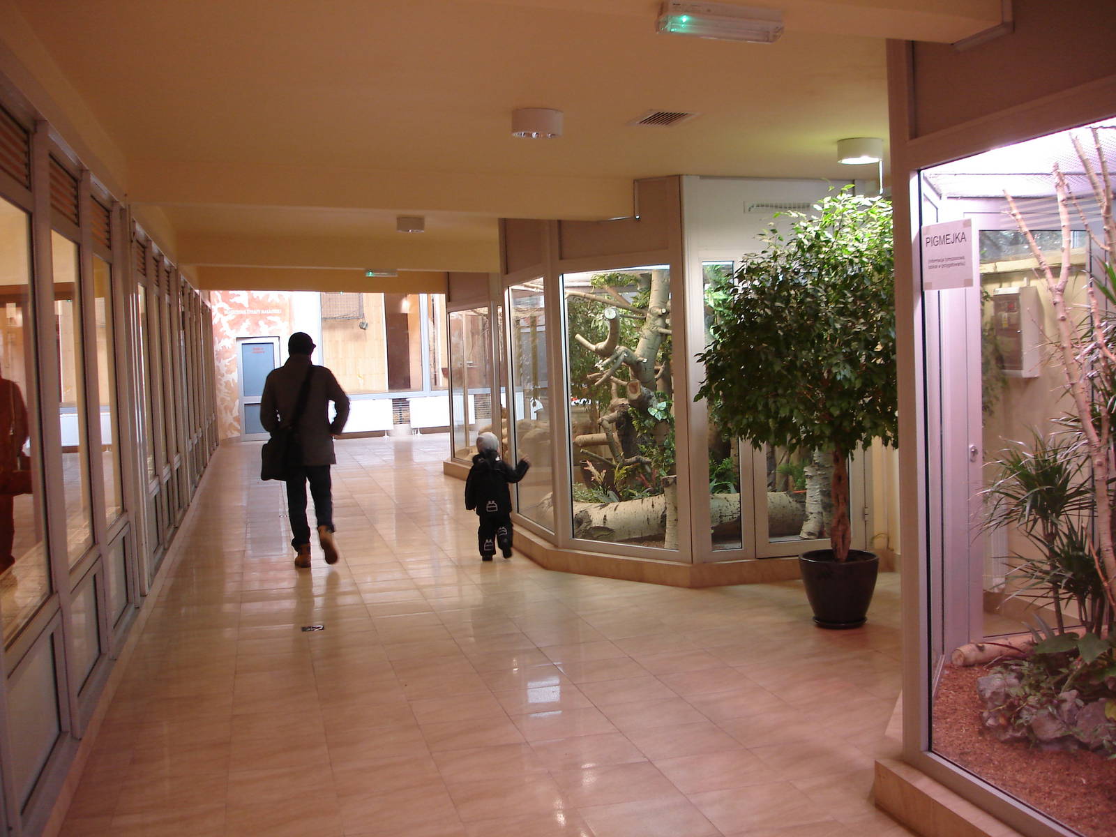 Inside Giraffes house