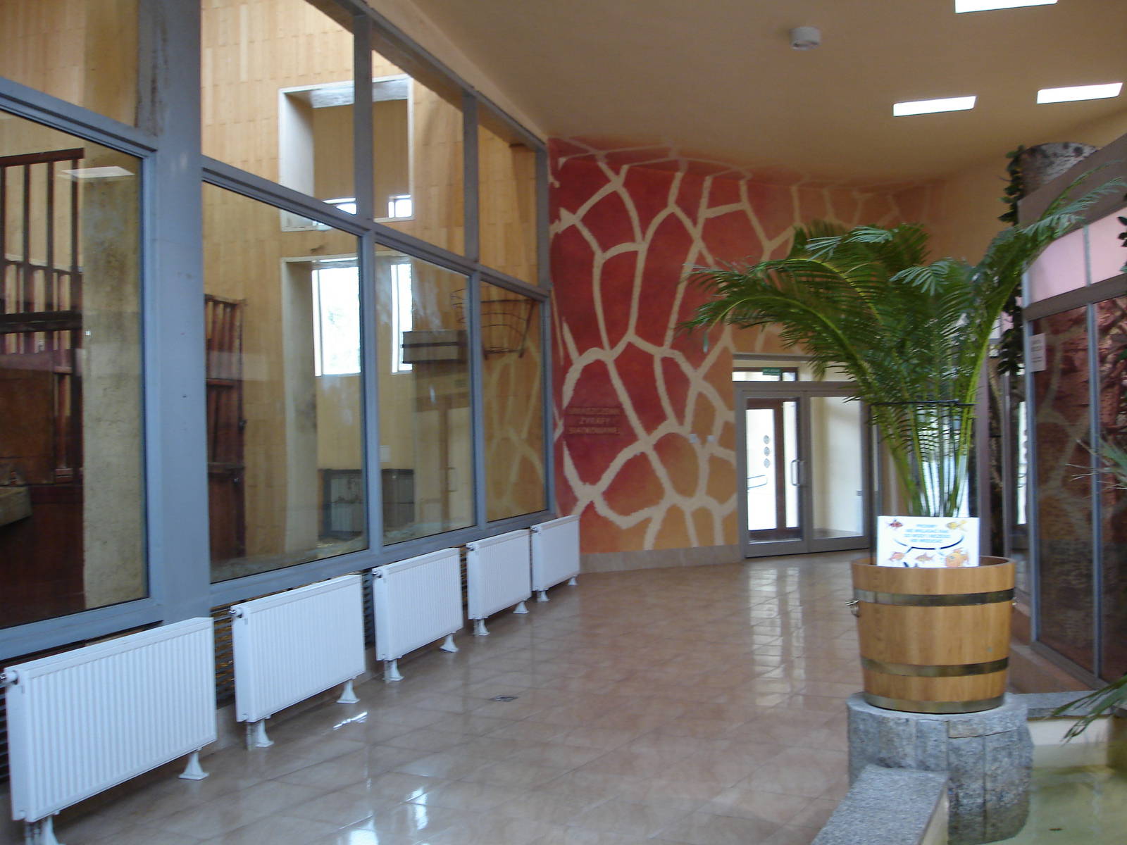 Inside Giraffes house