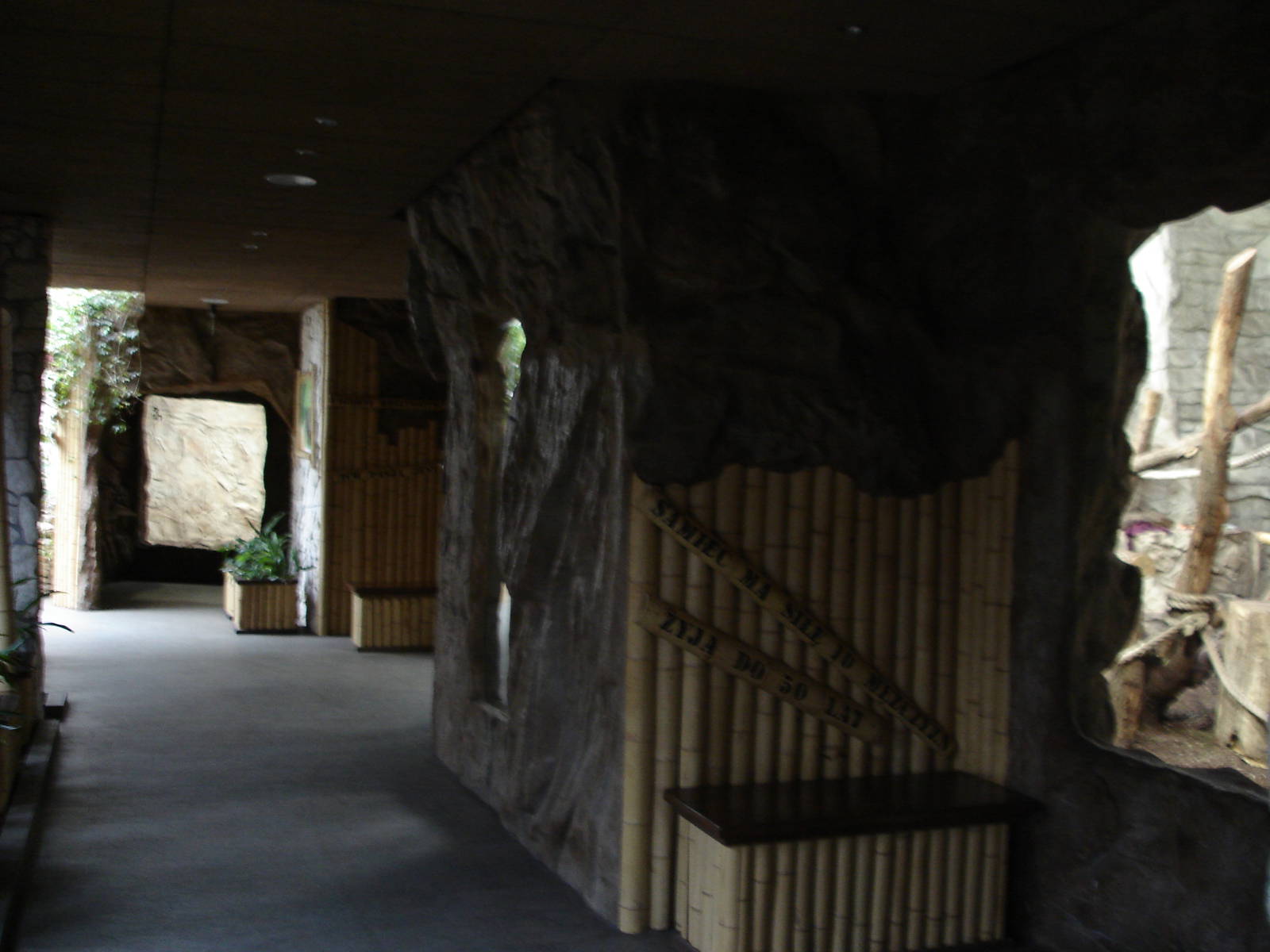 Inside gorilla house