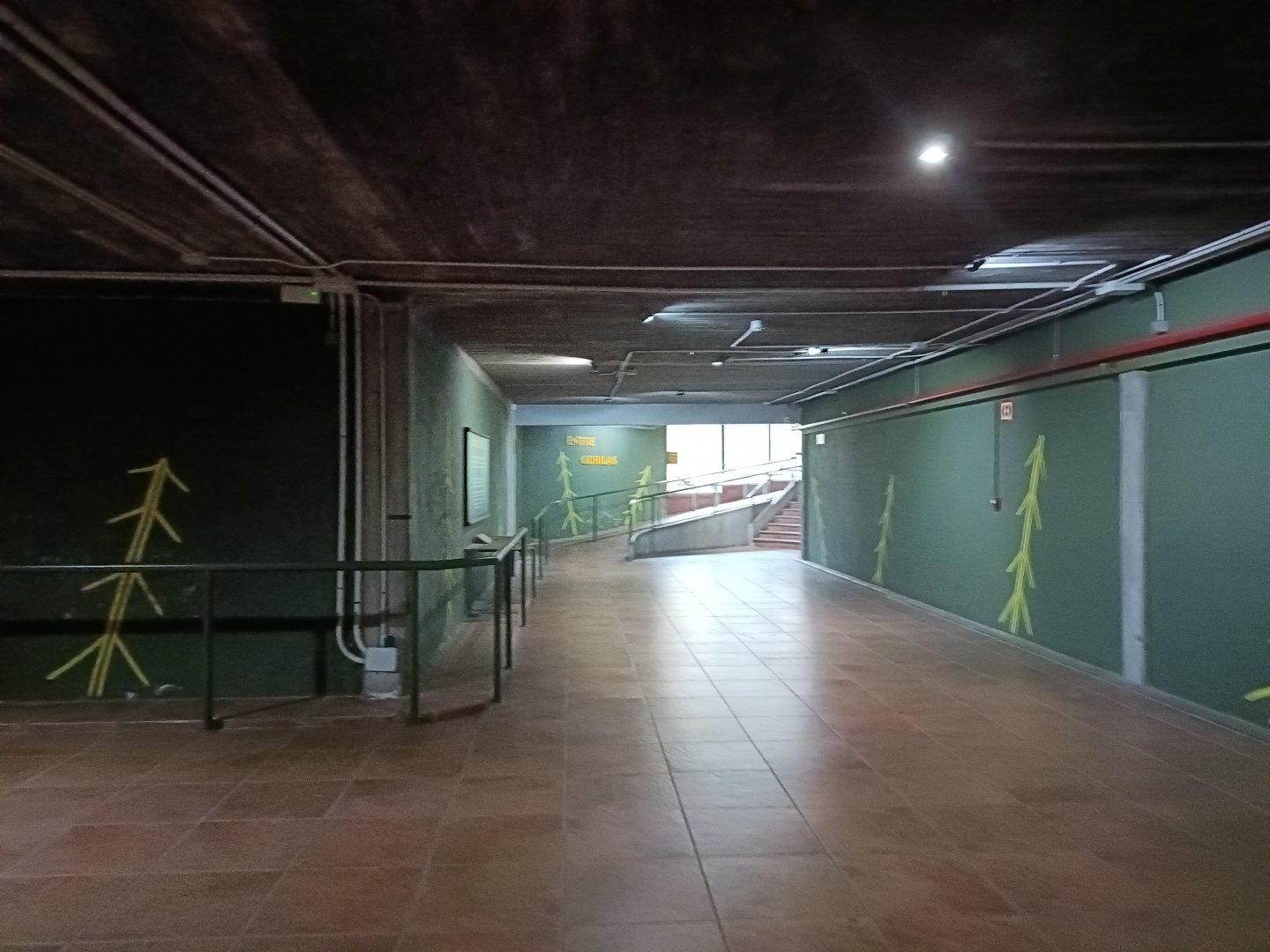 Inside Gorilla house