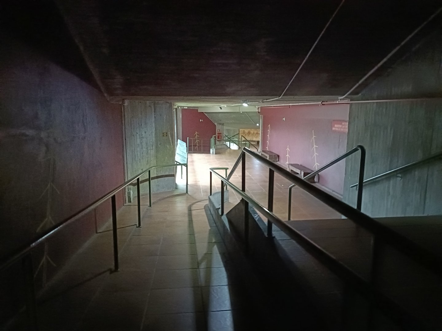 Inside gorilla house