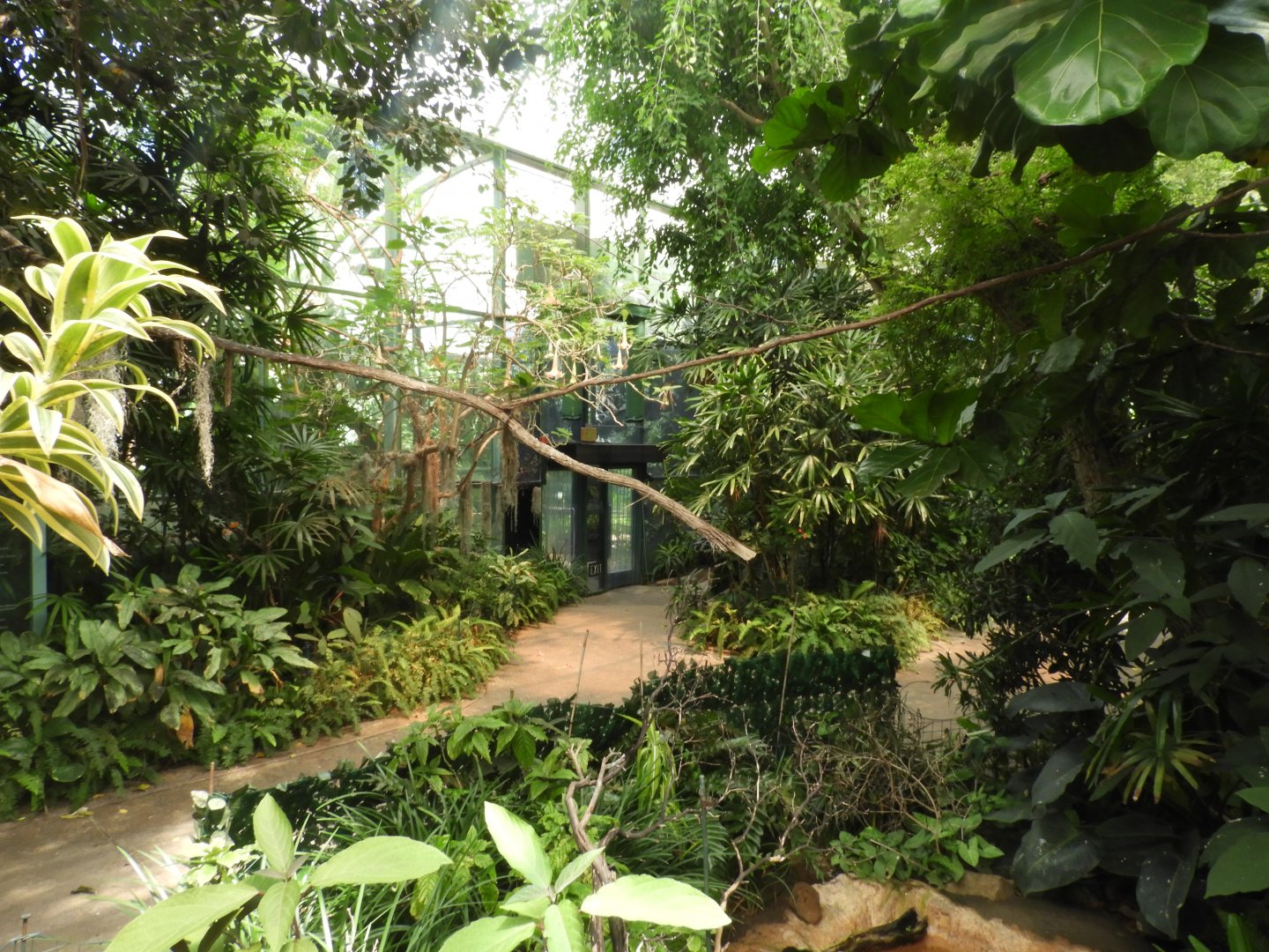 Inside Hidden Jungle Aviary