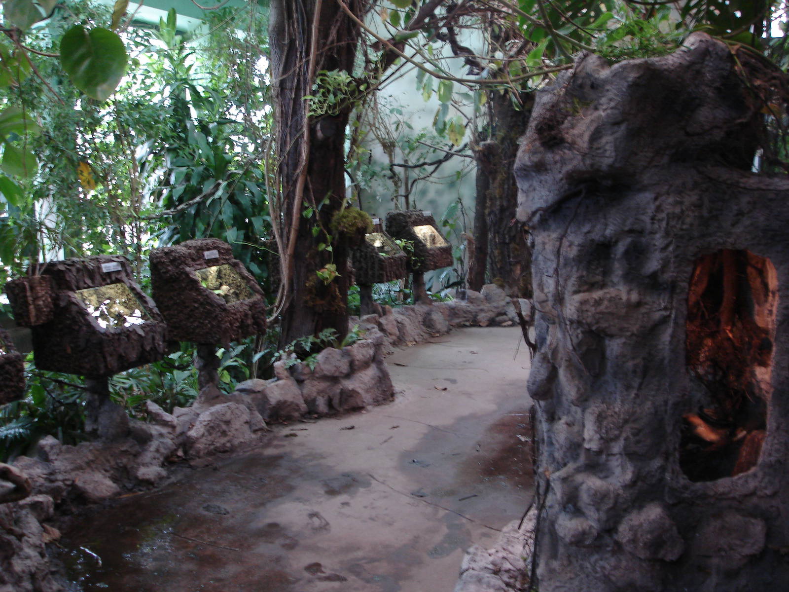 Inside Insectarium