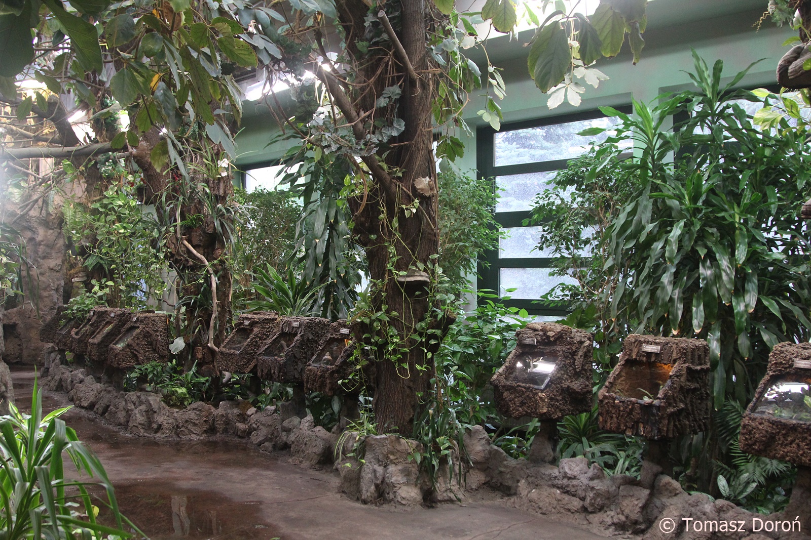 Inside Invertebrates-house; October 2018