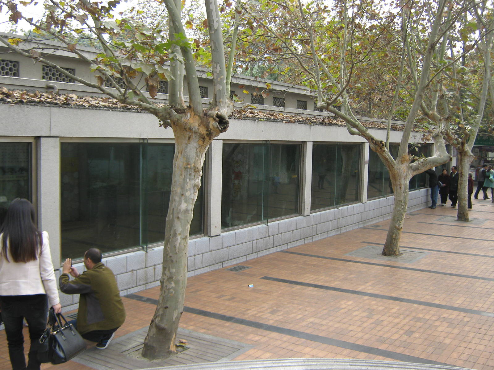 inside leopard cages