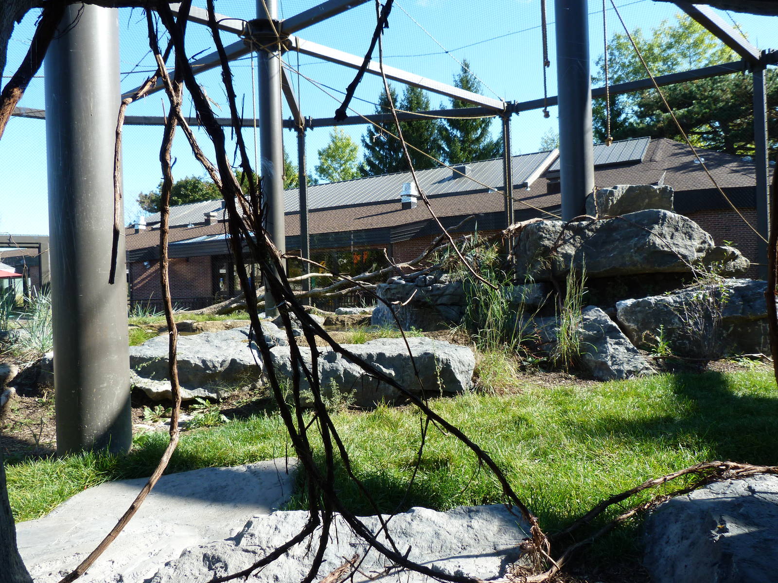 Inside Looking in Primate Park